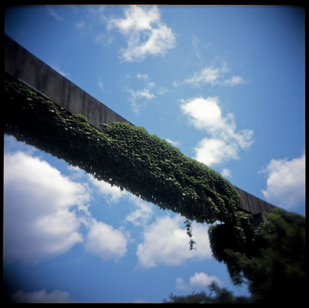 青空の中にモノレール軌道