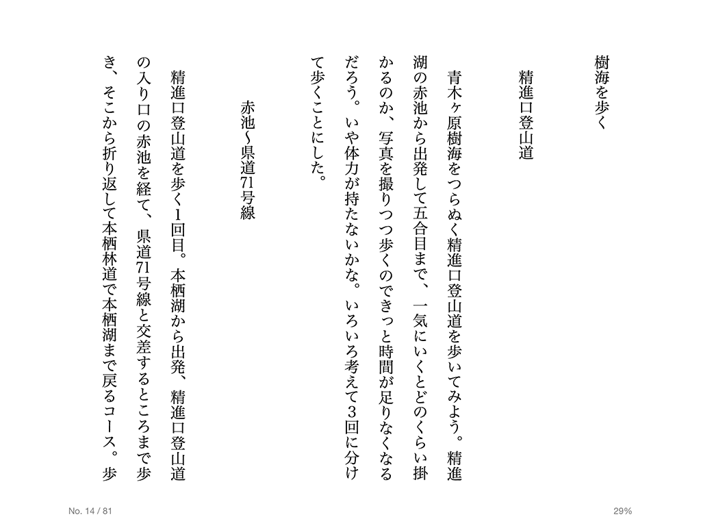 epub-azk-ipad 縦組み