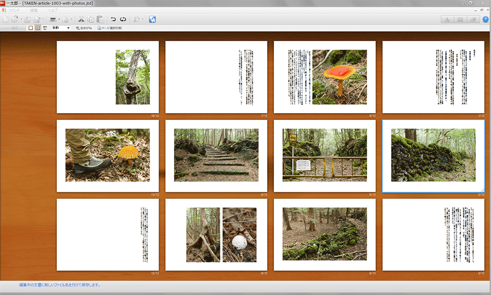 確認フェーズ = 枠の基準：行、文字よけ：配置しない