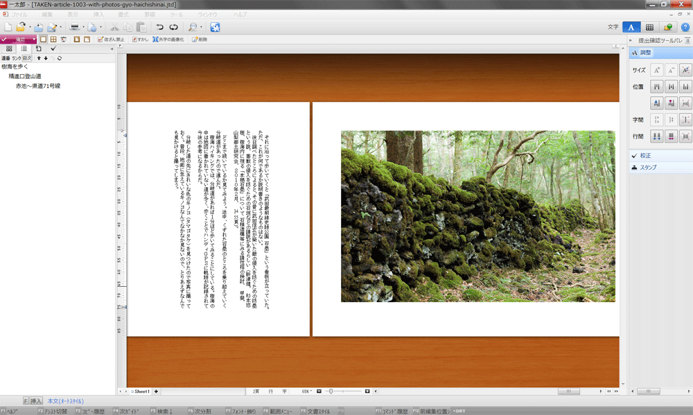 確認フェーズ = 枠の基準：行、文字よけ：配置しない
