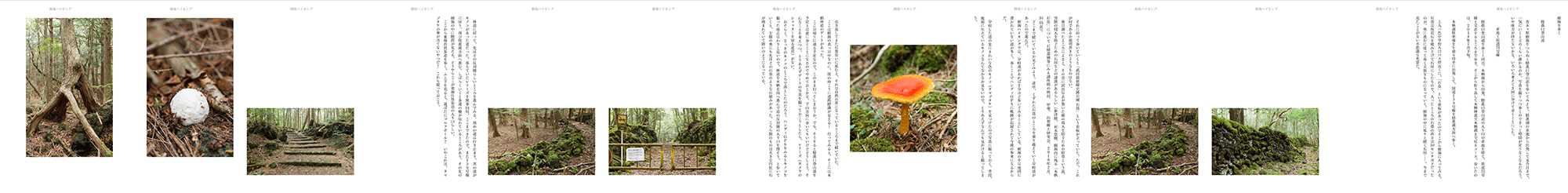 たて画面で見たとき