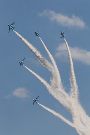入間航空祭2010