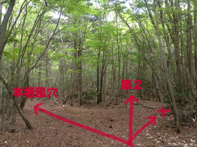 本栖1と2の分かれ道