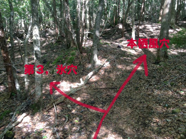 本栖1と3の分かれ道