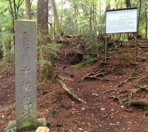 天然記念物標柱と解説看板
