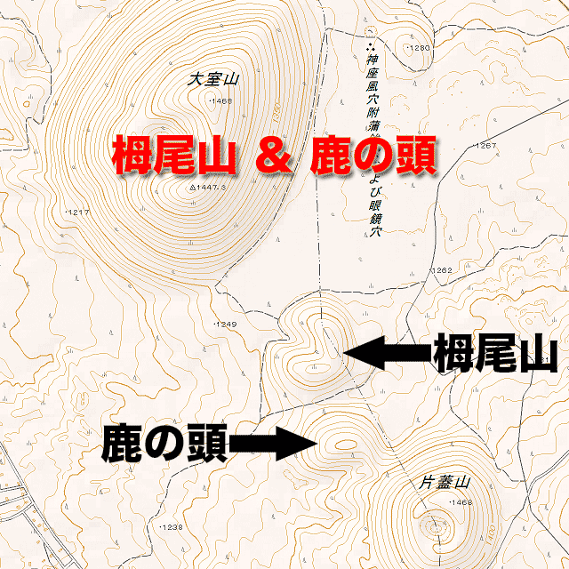 栂尾山、鹿の頭
