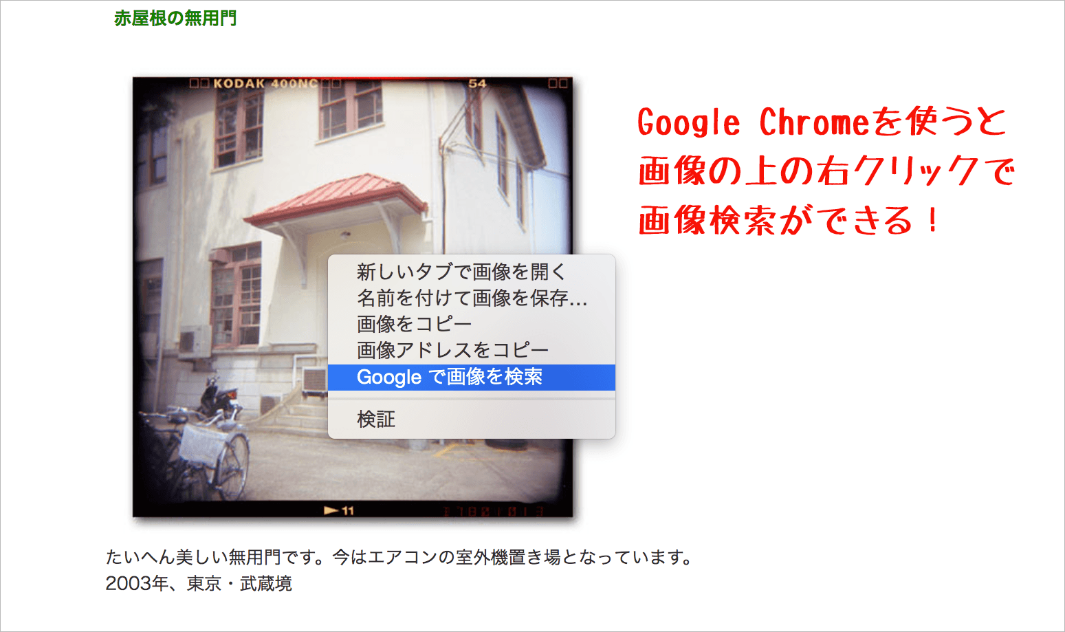 Google画像検索